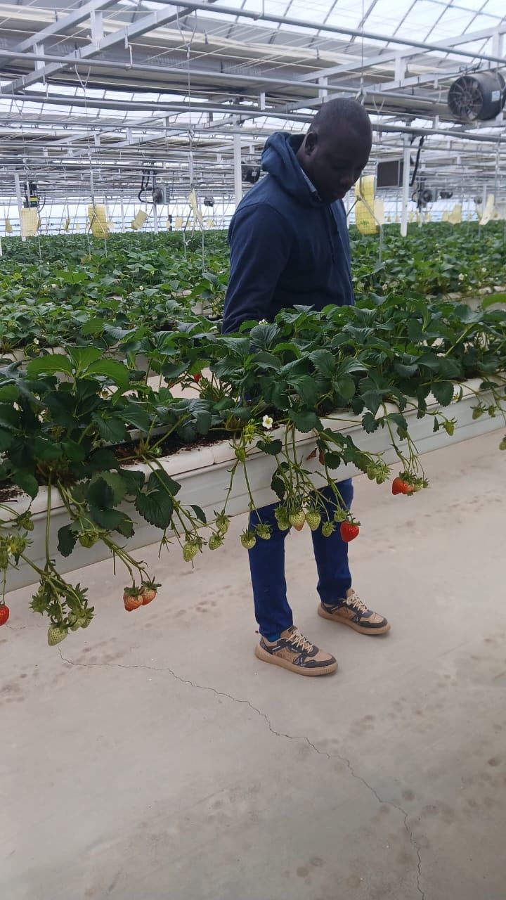 Photo terrain BambaZZ Agro Consulting