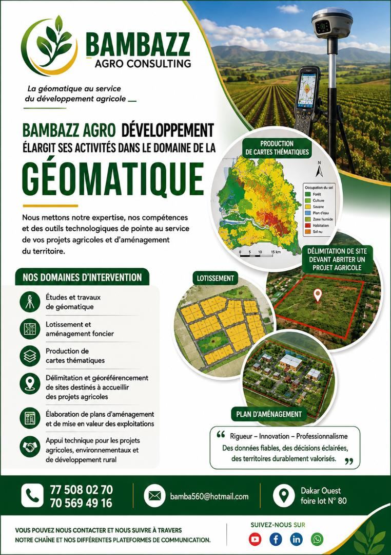 Géomatique et cartographie