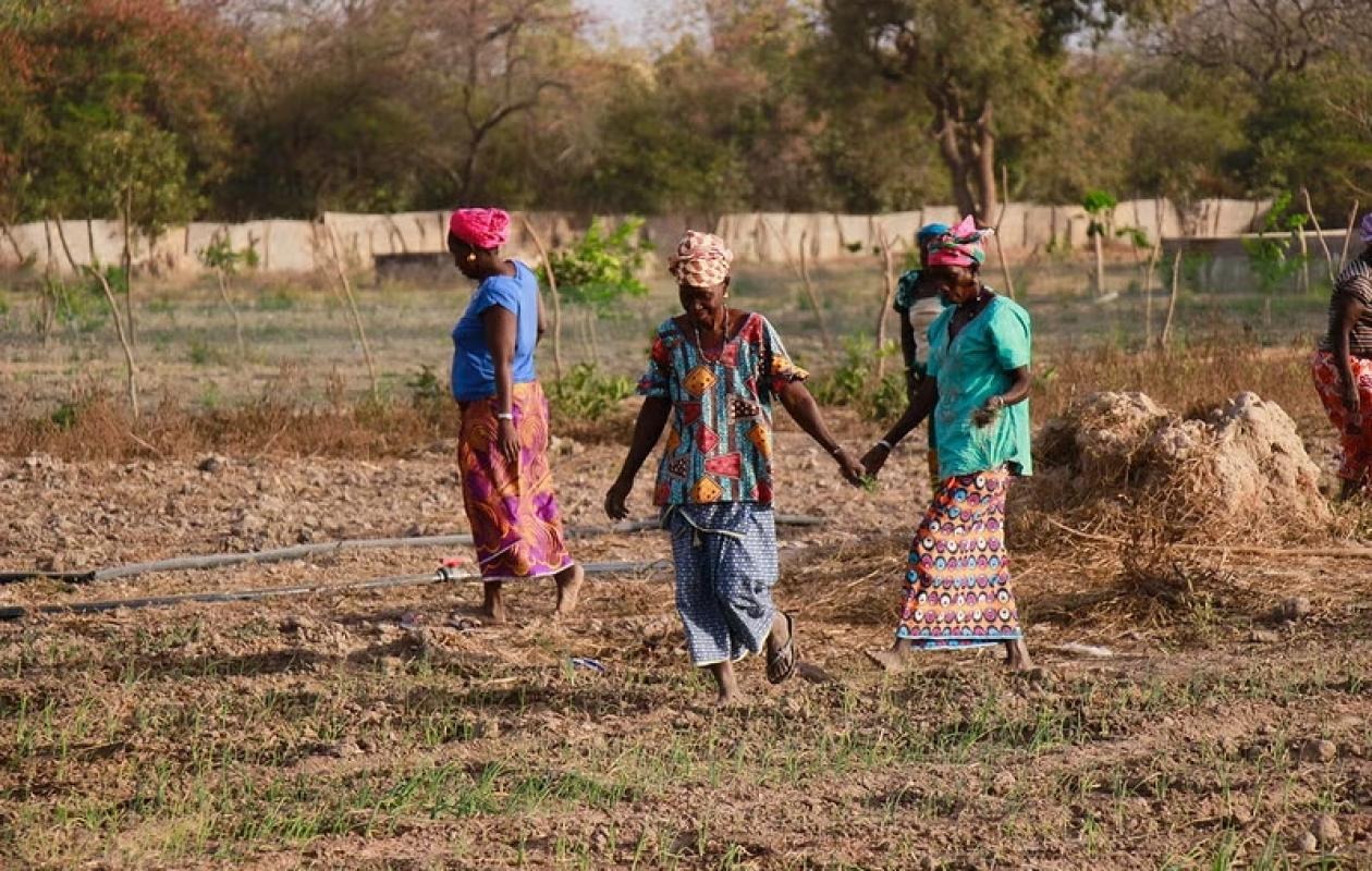 Année internationale des femmes agricultrices 2026