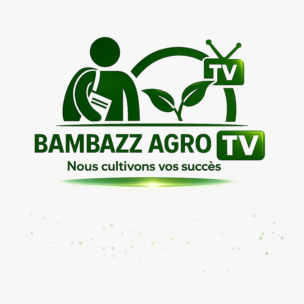Vous pouvez désormais regarder nos actualités, nos conseils pratiques, nos reportages de terrain et nos formations sur Bambazz Agro TV.
