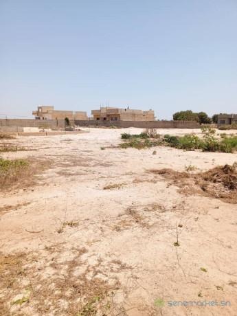 🏡 BAMBAZZ AGRO CONSULTING vous propose des parcelles de 150 m² à Bambilor, une zone en plein développement située à environ 30 km de Dakar, avec un accès facilité par la VDN et l'a